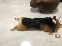 -8号公馆(金川街店)