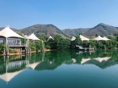 -帐篷客·溪龙茶谷度假酒店