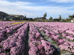 -中国天府农业博览园