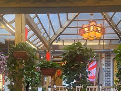 -有一锅·野生菌黑山羊腊排骨火锅(古城北门店)