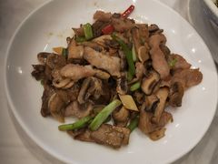 -金河半岛园林酒家(金融城店)
