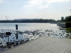 -南翔镇银翔湖公园