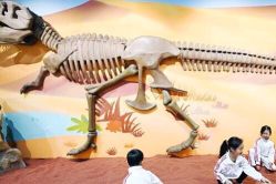 -北京科学中心儿童乐园