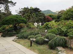 -西湖外事游船(花港观鱼码头)