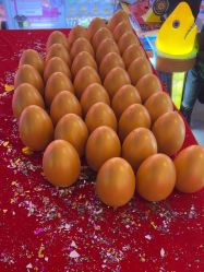 -Fang Fang Monkey·方方猴(国瑞购物中心店)