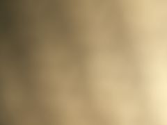 -福缘烤肉王自助(爱琴海-原比尔森店)