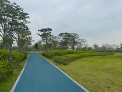 -宝安西湾红树林湿地公园