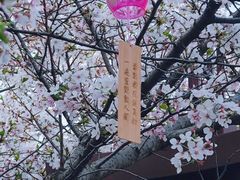 -堤角公园