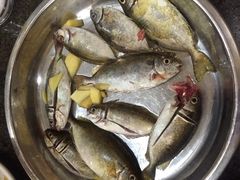 -顺德粥城·叹茶食粥(良化店)