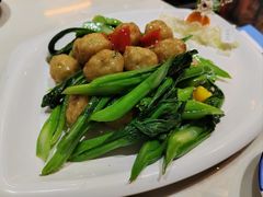 -港升鱼师傅·中山脆肉鲩