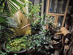 -西西里轰趴日租聚会别墅·团建拓展