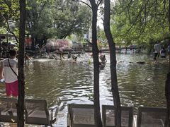 -大鹅岛绿色生态美食园