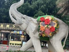 -云南民族村