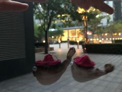 -肆月河豚·新淮扬(金融街店)