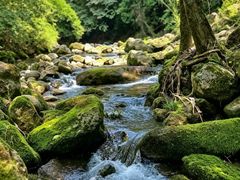 -青城山