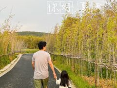 -南京市无想山景区