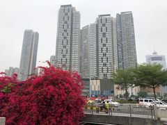 -汤臣·空中餐厅·严选粤菜(石湾世博广场店)