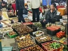 -呈贡滇池生态湿地公园