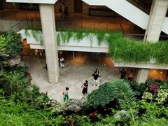 -广州白天鹅宾馆