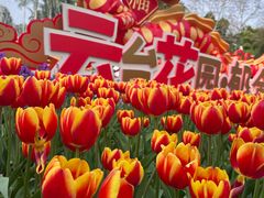 -广州市白云山风景名胜区