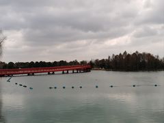 -迪士尼小镇