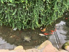 -金稼园·金平湖农家菜