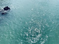 -嵊泗基湖沙滩