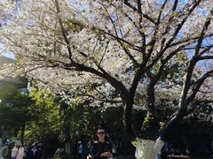 -阳澄湖费尔蒙酒店颐丰阁中餐厅(马鞍山西路店)