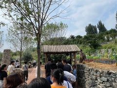 -西部长青自然儿童乐园