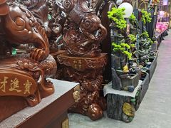 -大自然花鸟鱼虫市场