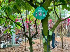 -歌斐颂巧克力小镇