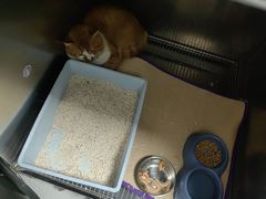 -嘉馨宠物医院·CT影像转诊·心脏科·犬猫全科诊疗中心(下沙大学城院区)