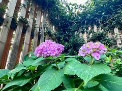 -汉唐驿-唐风美学民宿