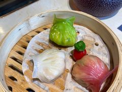 -点都德·毕德寮