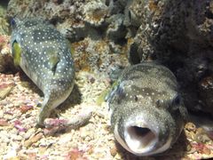 -福州罗源湾海洋世界旅游区