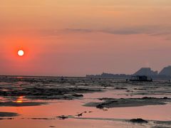 -北海金海湾红树林生态旅游区