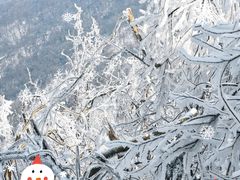 -紫金山索道-售票处