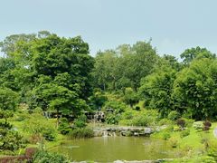 -东莞植物园