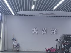-大黄蜂汽车贴膜隐形车衣3M黑钻臻选(007店)