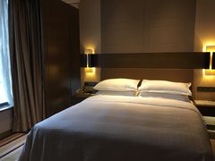 -扬州绿地铂骊酒店
