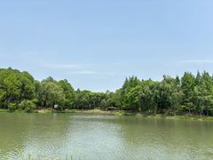 -尚贤河湿地
