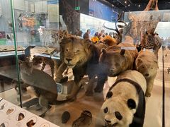 -浙江自然博物院(杭州馆)