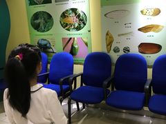 -上海昆虫博物馆