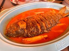 -阿五黄河大鲤鱼(建业路店)