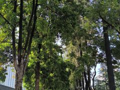 -四川大学(华西校区)