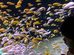 -成都浩海立方海洋公园