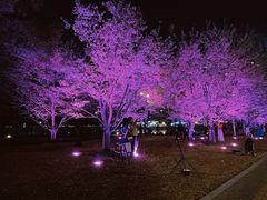 -西北湖绿化广场