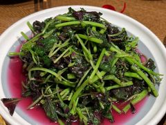 -鸽子窝(青塔店)