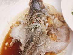 -古南都·老广东酒楼(龙江店)