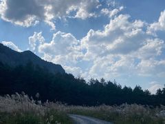 -重庆睡佛山森林公园